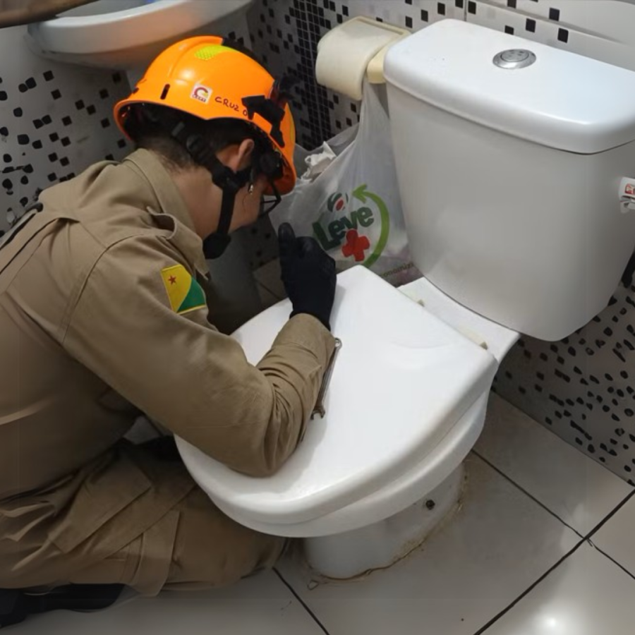 Criança encontra cobra de 1 metro dentro de vaso sanitário em apartamento no Acre e caso assusta moradores